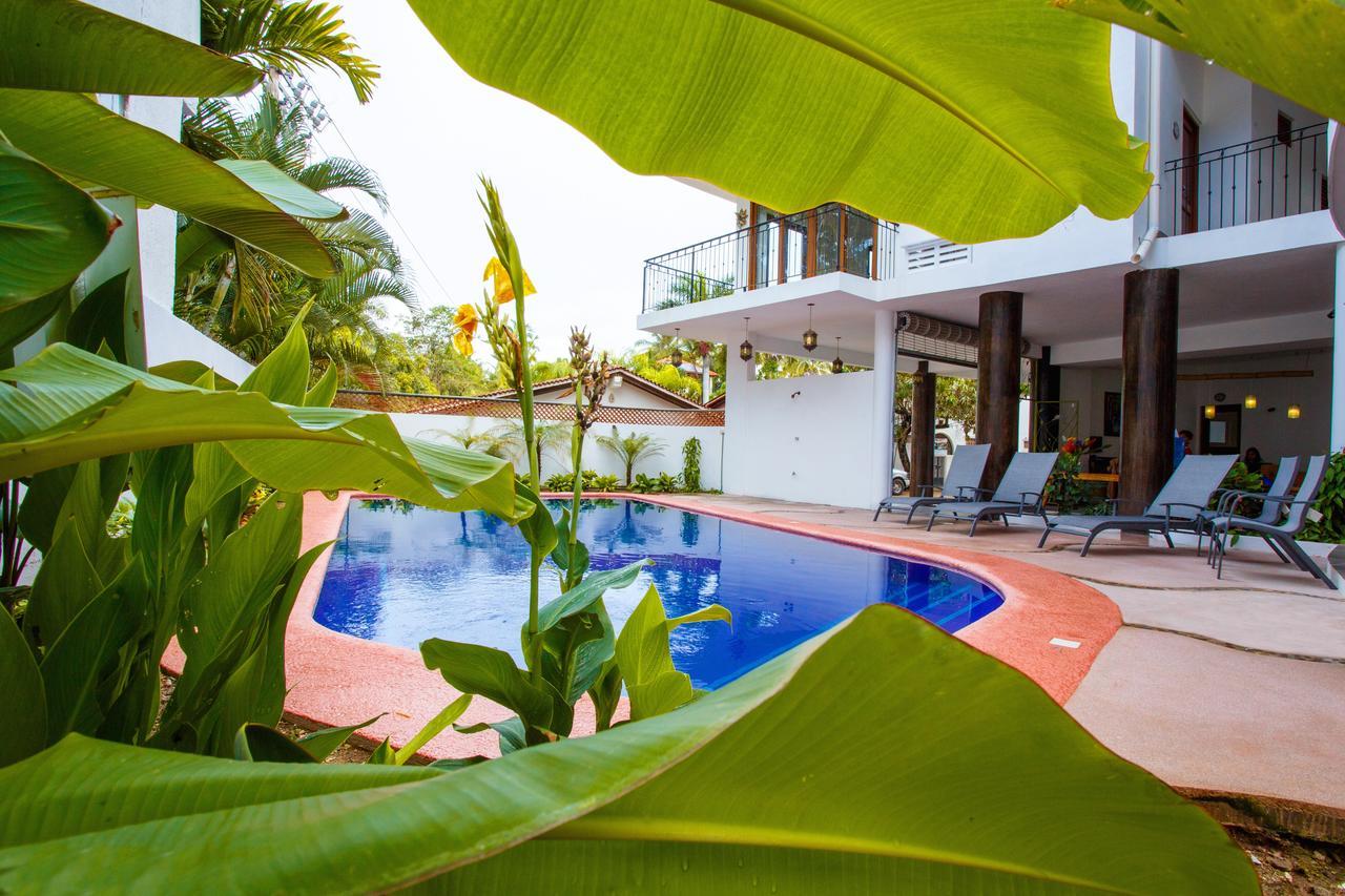 Hotelito Los Suenos 萨尤利塔 外观 照片